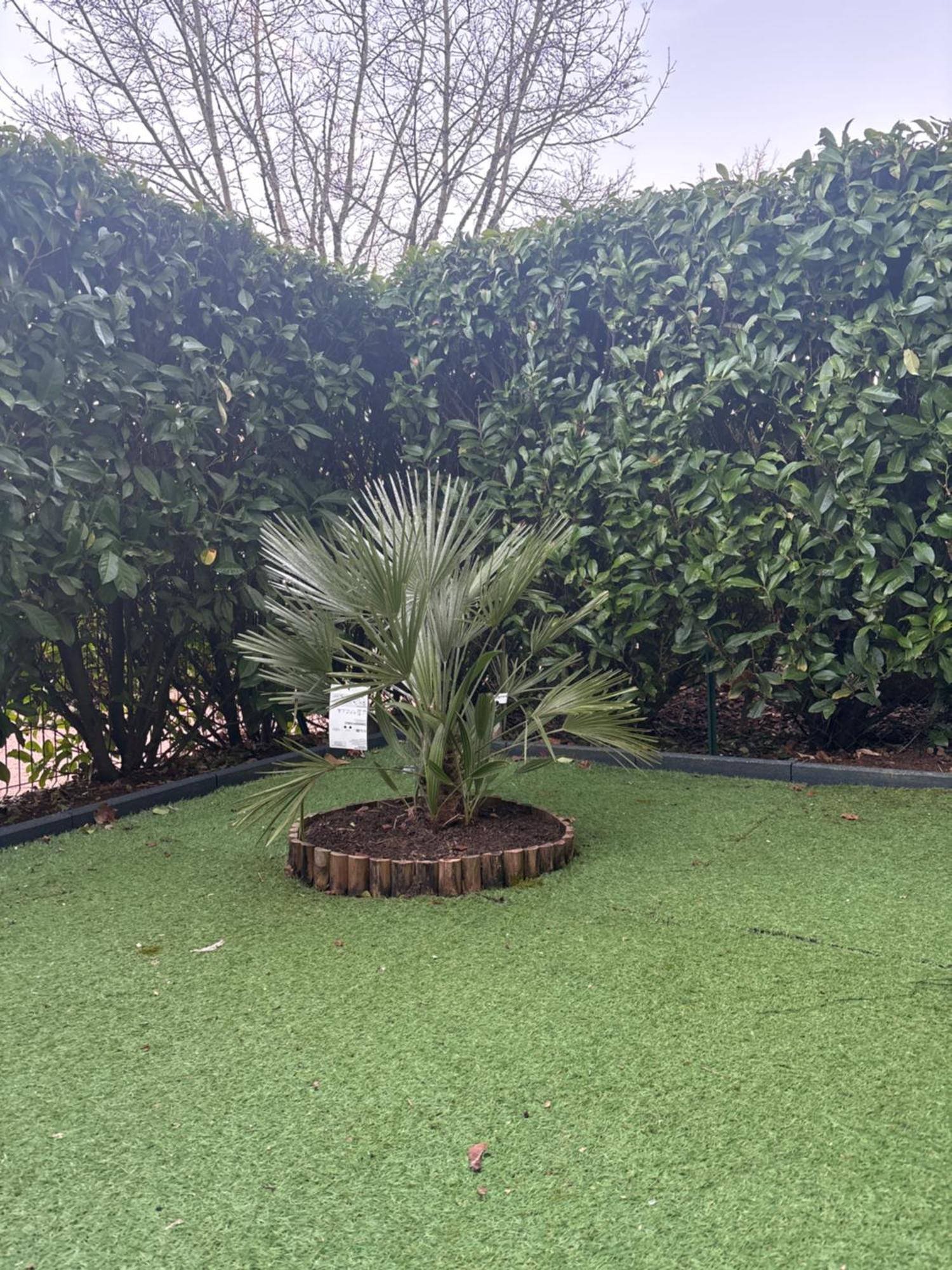 Romantisme Et Glamour Avec Spa, Piscine Et Jardin